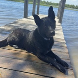 Entry image for Duke