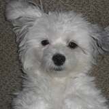 Entry image for Mazzy