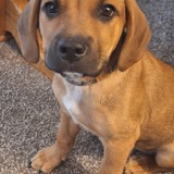 Entry image for Benny