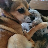 Entry image for Lou Lou 