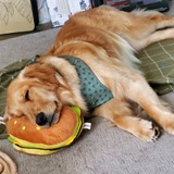 Entry image for Sunlight