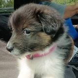 Entry image for Cassie