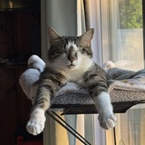 Entry image for Jimmy 