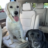 Entry image for Denali and Sage 