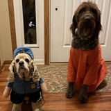 Entry image for Carmello and Gus