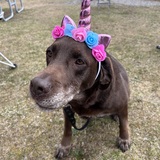 Entry image for Remi