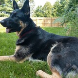 Entry image for River