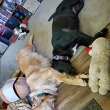 Entry image for Midnight & Sunlight