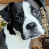 Entry image for Sully