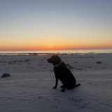 Entry image for Loki