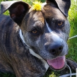 Entry image for Hannah Lynn