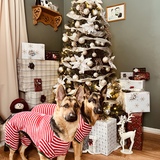 Entry image for Ella &Tilly