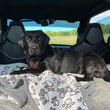 Entry image for Bella