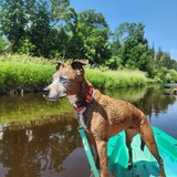 Entry image for Sally Mae