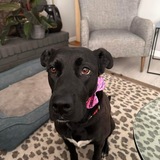 Entry image for Nina 