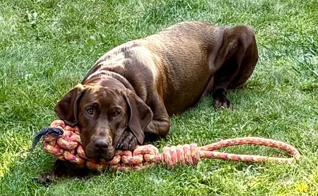 Ruby