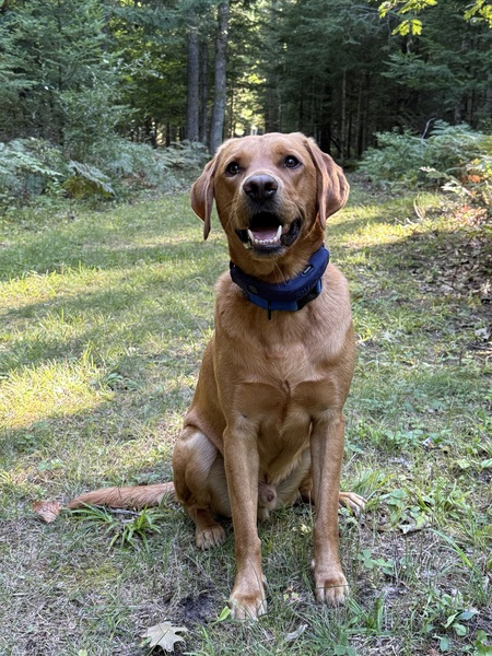 Milo
