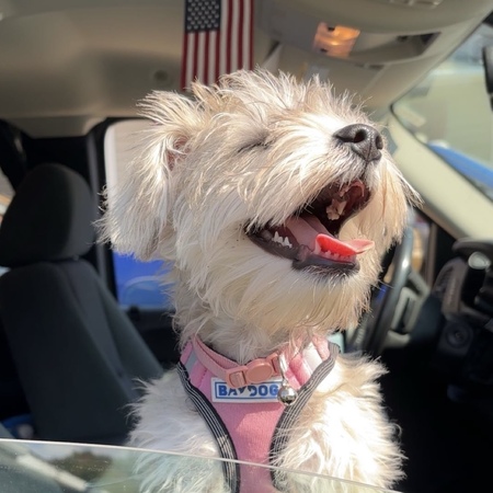 Entry image for Athena. Clicking this image will show a larger photo