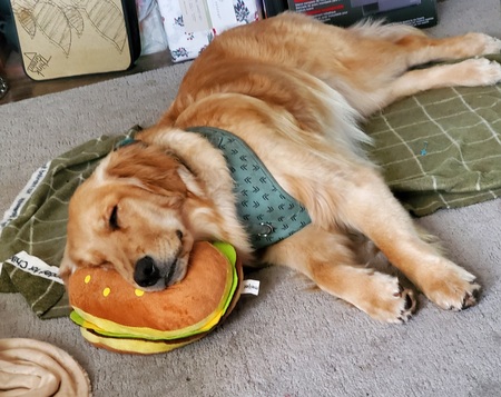 Entry image for Sunlight. Clicking this image will show a larger photo