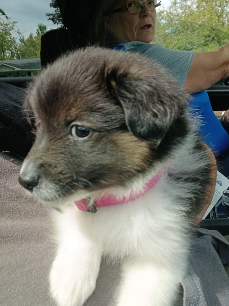 Entry image for Cassie. Clicking this image will show a larger photo