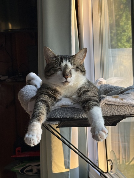 Entry image for Jimmy . Clicking this image will show a larger photo