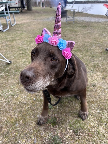 Entry image for Remi. Clicking this image will show a larger photo