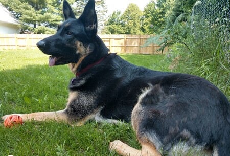 Entry image for River. Clicking this image will show a larger photo