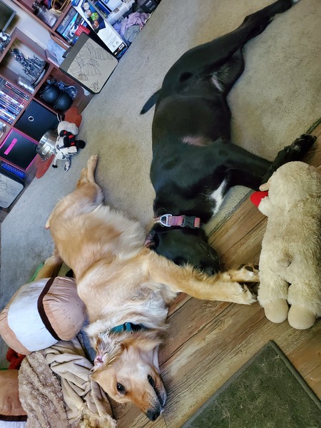 Entry image for Midnight & Sunlight. Clicking this image will show a larger photo