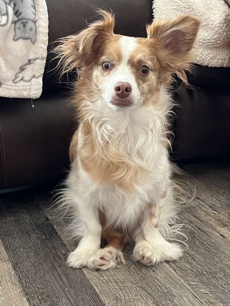 Entry image for Skeeter. Clicking this image will show a larger photo