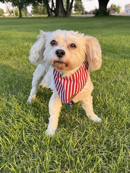 Entry image for Karlee. Clicking this image will show a larger photo