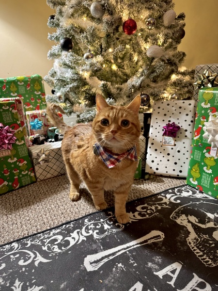 Entry image for Jim. Clicking this image will show a larger photo