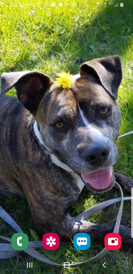 Entry image for Hannah Lynn. Clicking this image will show a larger photo