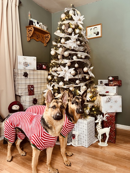 Entry image for Ella &Tilly. Clicking this image will show a larger photo