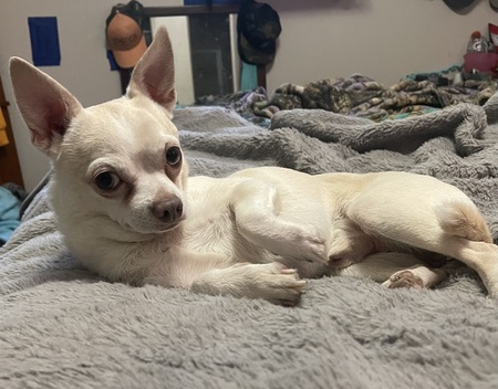 Entry image for Sid . Clicking this image will show a larger photo