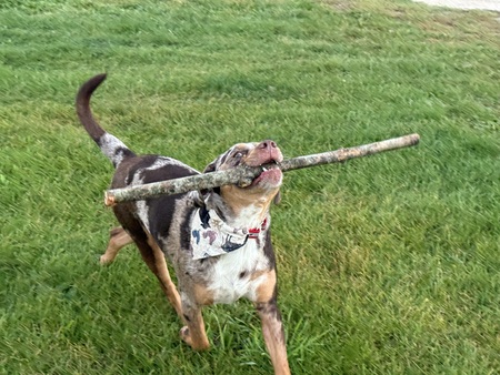 Entry image for Max. Clicking this image will show a larger photo