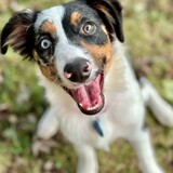 Entry image for Sasha