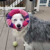 Entry image for Millie
