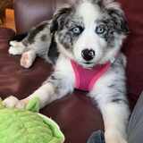 Entry image for Stormi