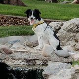 Entry image for Lena