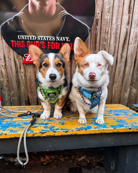 Entry image for Spark & Spuds. Clicking this image will show a larger photo