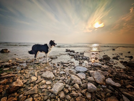 Entry image for Tucker. Clicking this image will show a larger photo