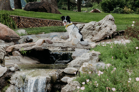 Entry image for Lena. Clicking this image will show a larger photo