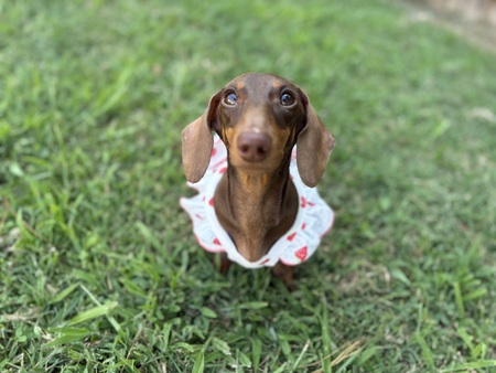 Eleanor (Ellie)