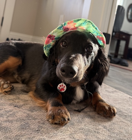 Winston