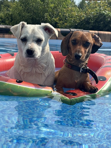 Gary and Tater
