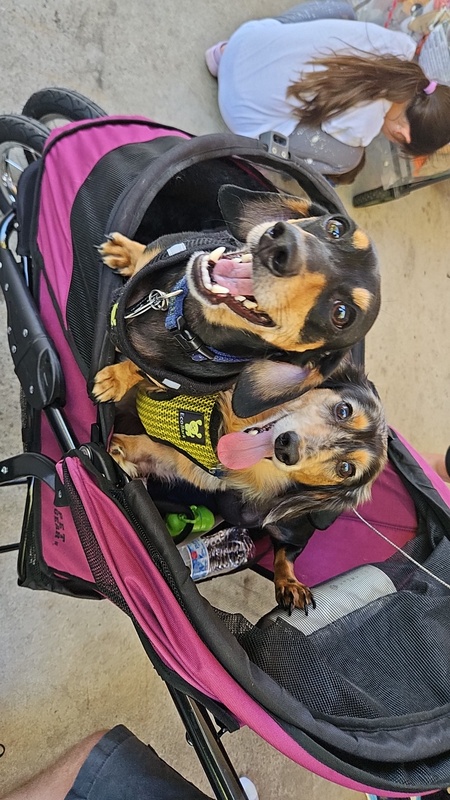Bert & Auggie
