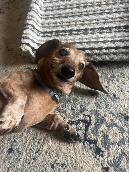 Morty
