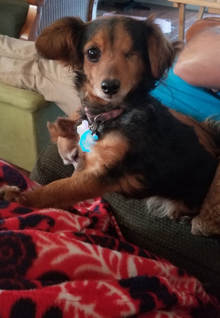 Millie 