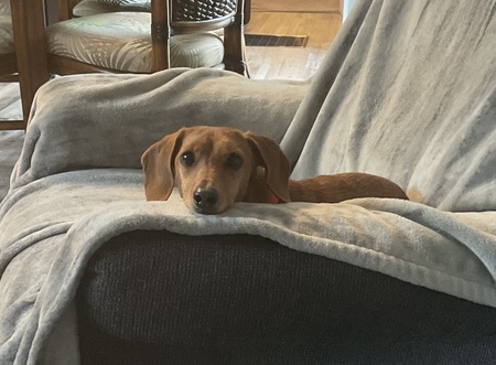 Annie Mae