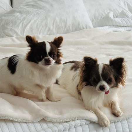 Chickie and Petey